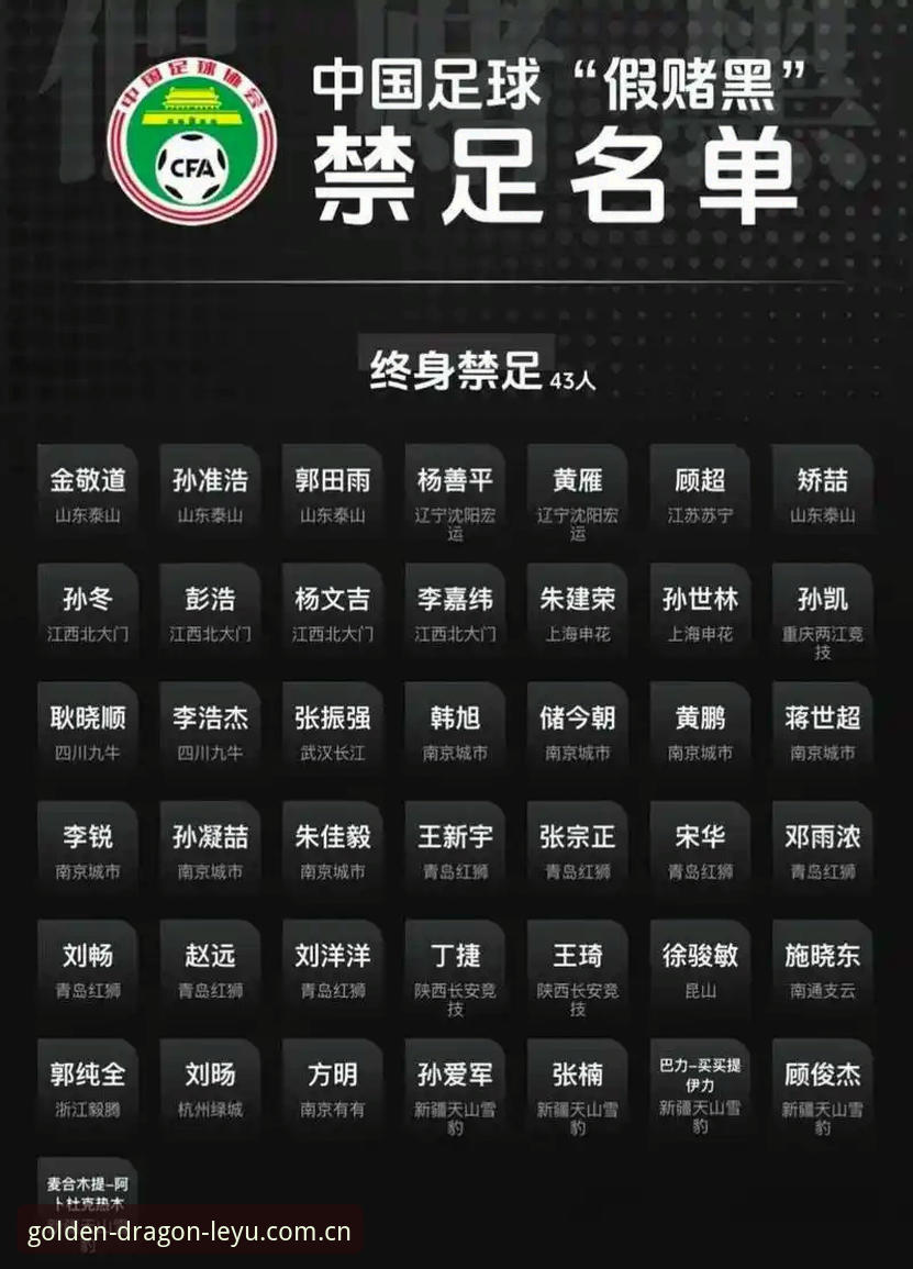 中国足球禁足名单深度解析：行业整顿背后的创新变革路径